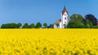 Trelleborg är Sveriges sydligaste stad. Trelleborg har en vacker landsbygd med många kyrkor.