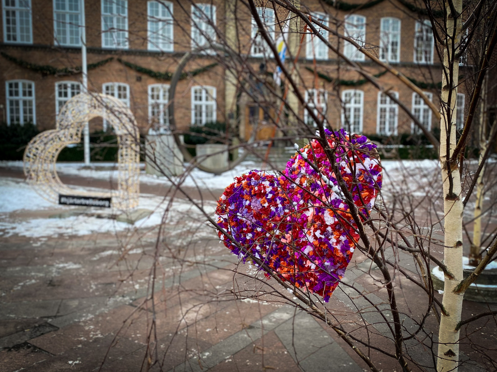 Pappershjärta hänger i ett av träden framför rådhuset.