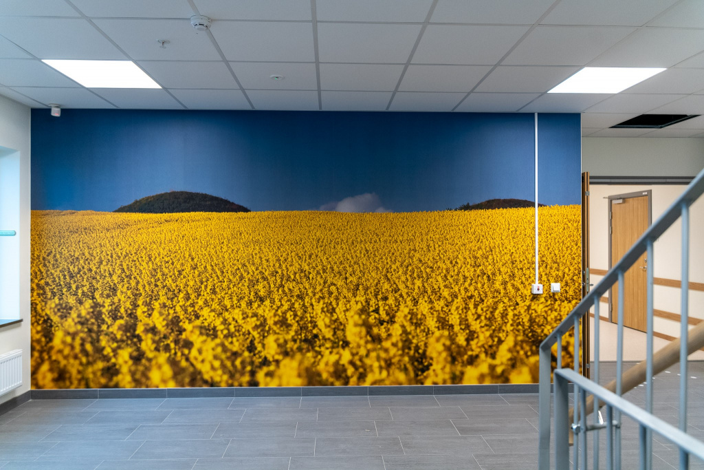 Korridorsvägg med fototapet som visar gult rapsfält.